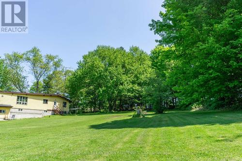 703 County Road 1 Road, Prince Edward County, ON - Outdoor