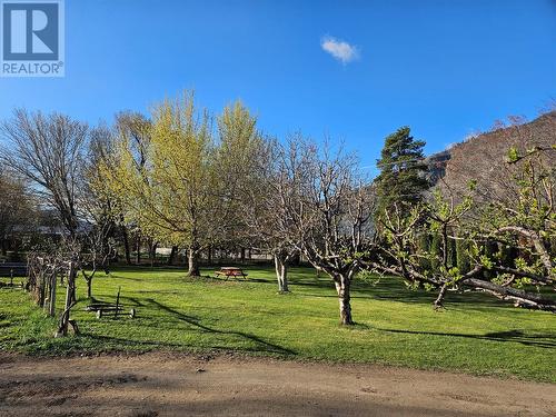 2234 Newton Road, Cawston, BC - Outdoor With View