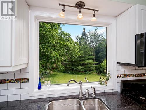 133 Main Street S, Halton Hills, ON - Indoor Photo Showing Kitchen With Double Sink
