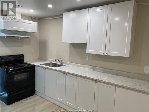889 Bouffard Road Unit# Basement, Lasalle, ON - Indoor Photo Showing Kitchen With Double Sink