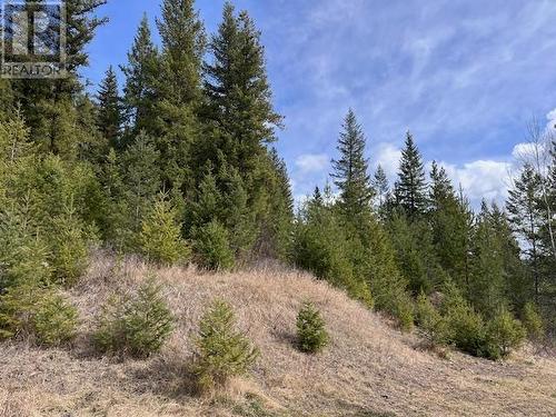 4605 S 97 Highway, Quesnel, BC - Outdoor With View