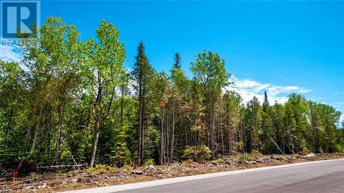 166ft. of road frontage - Lot 5 Trillium Crossing, Northern Bruce Peninsula, ON 