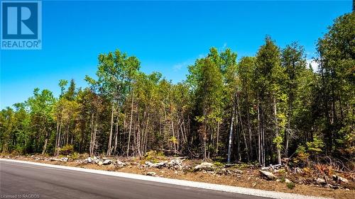 Nicely treed for privacy - Lot 5 Trillium Crossing, Northern Bruce Peninsula, ON 