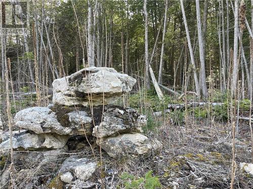 Sit and enjoy nature! (not of subject property) - Lot 5 Trillium Crossing, Northern Bruce Peninsula, ON 