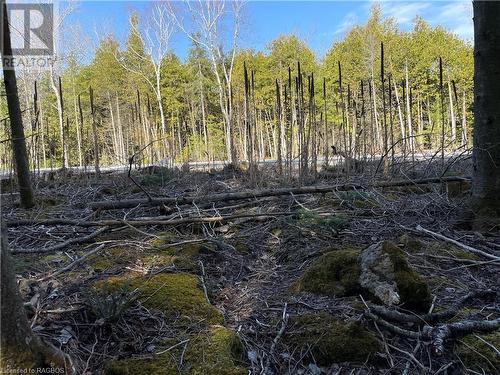 Sit to watch the sunsets! (not of subject property) - Lot 5 Trillium Crossing, Northern Bruce Peninsula, ON 