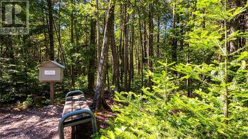 Along the boardwalk trail (not of subject property) - Lot 5 Trillium Crossing, Northern Bruce Peninsula, ON 