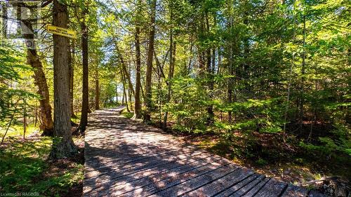 Bridge over the stream (not of subject property) - Lot 5 Trillium Crossing, Northern Bruce Peninsula, ON 