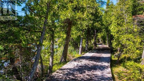 Along the boardwalk trail (not of subject property) - Lot 5 Trillium Crossing, Northern Bruce Peninsula, ON 