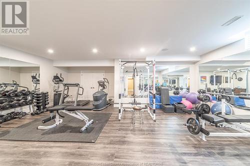 3000 South Talbot, Tecumseh, ON - Indoor Photo Showing Gym Room