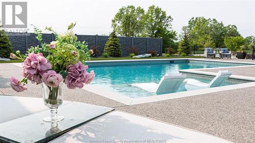 3000 South Talbot, Tecumseh, ON - Outdoor With In Ground Pool