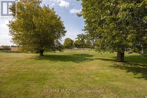 2093 Concession Rd 9, Clarington, ON - Outdoor With View