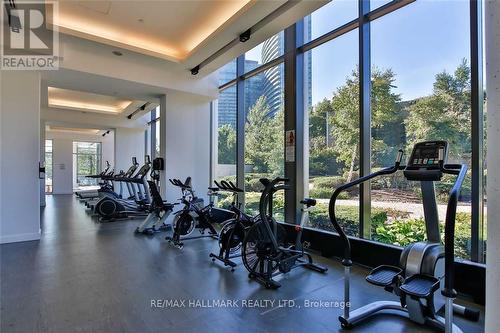 2010 - 88 Park Lawn Road, Toronto, ON - Indoor Photo Showing Gym Room