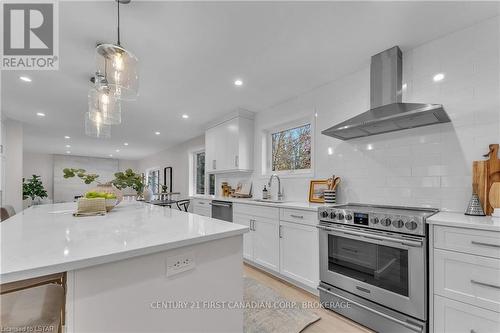 14 Scottsdale St, London, ON - Indoor Photo Showing Kitchen With Upgraded Kitchen