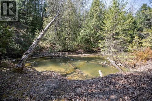 11732 County Road 27 Road, Springwater, ON - Outdoor With View