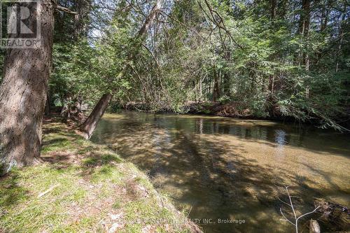 11732 County Road 27 Road, Springwater, ON - Outdoor With Body Of Water