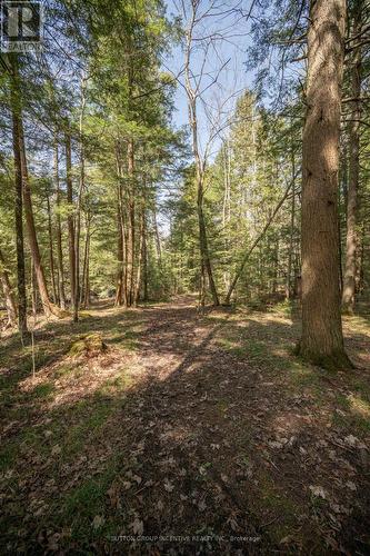 11732 County Road 27 Road, Springwater, ON - Outdoor With View