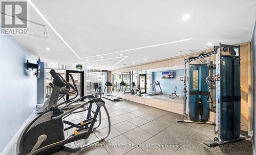 238 - 621 Sheppard Avenue E, Toronto, ON - Indoor Photo Showing Gym Room