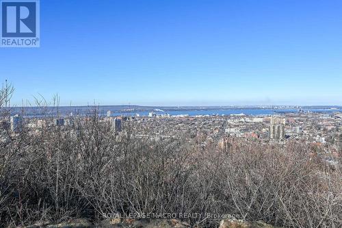 #202 -30 Summit Ave, Hamilton, ON - Outdoor With View