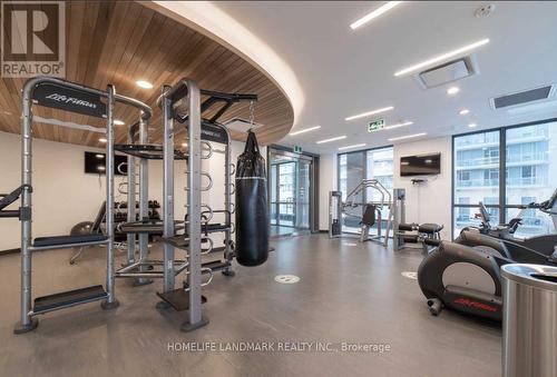 409 - 56 Forest Manor Road, Toronto, ON - Indoor Photo Showing Gym Room