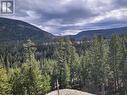 111 Harding Road, Williams Lake, BC  - Outdoor With View 