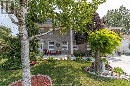 224 Caruhel, Lakeshore, ON - Outdoor