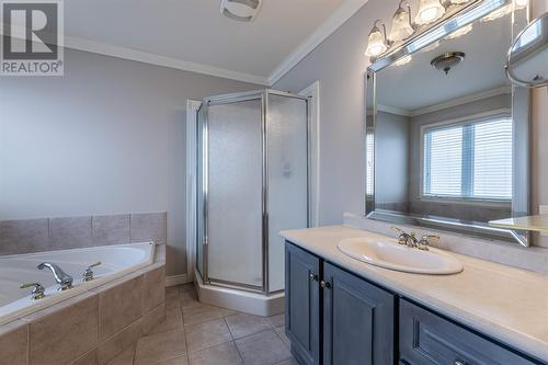 399 Old Pennywell Road, St. John'S, NL - Indoor Photo Showing Bathroom