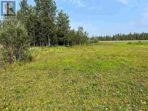 Lot 1 Con 8 Highway  11, Cochrane Remote Area, ON 