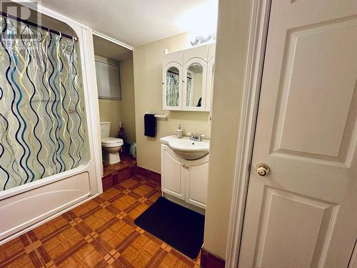 14 Marshalls Drive, Bishop'S Falls, NL - Indoor Photo Showing Bathroom