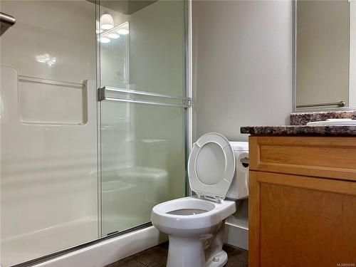 406 Alpen Way, Nanaimo, BC - Indoor Photo Showing Bathroom