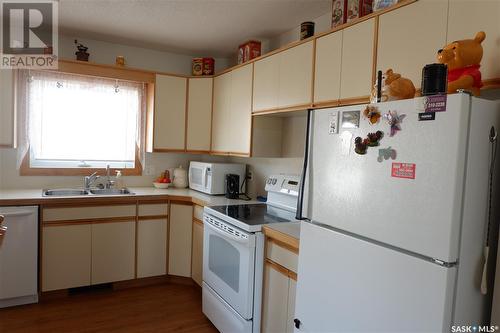 111 Empire Road, Assiniboia, SK - Indoor Photo Showing Kitchen With Double Sink