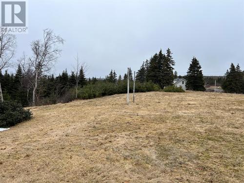 22 Reids Road, South River, NL - Outdoor With View