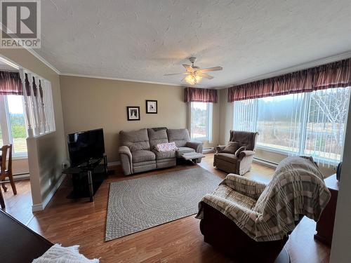 22 Reids Road, South River, NL - Indoor Photo Showing Living Room