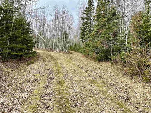 Lot 3 Golden Brook Court, Malagash, NS 