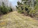 Lot 3 Golden Brook Court, Malagash, NS 