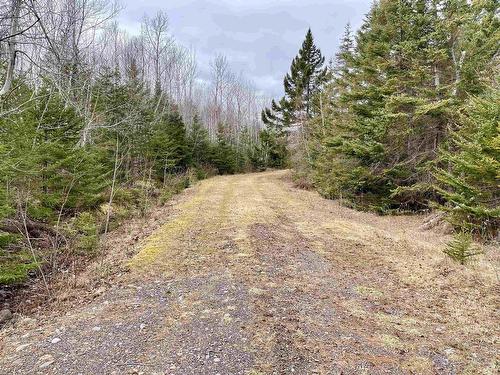 Lot 3 Golden Brook Court, Malagash, NS 