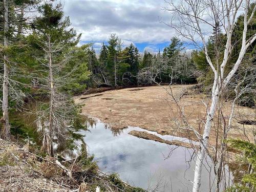 Lot 3 Golden Brook Court, Malagash, NS 