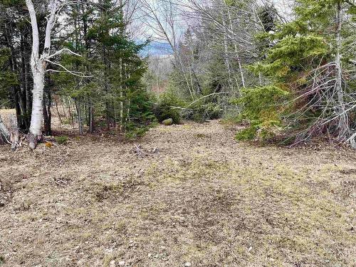 Lot 3 Golden Brook Court, Malagash, NS 