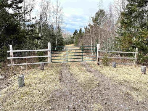 Lot 3 Golden Brook Court, Malagash, NS 