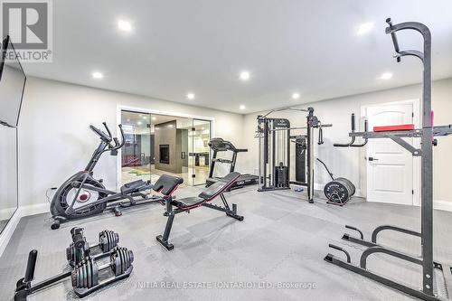 22959 Denfield Road, Middlesex Centre, ON - Indoor Photo Showing Gym Room