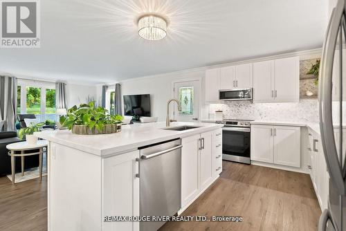 366 Syer Line, Cavan Monaghan, ON - Indoor Photo Showing Kitchen With Upgraded Kitchen