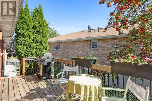 62 Trefusis St, Port Hope, ON - Outdoor With Deck Patio Veranda With Exterior