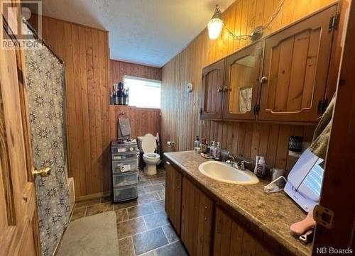 14034 Route 17, Glen Levit, NB - Indoor Photo Showing Bathroom