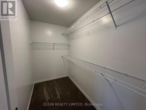 6 Dunning Way, St. Thomas, ON - Indoor With Storage