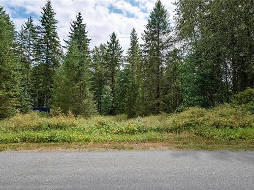 Lot 3 York Rd, Campbell River, BC 