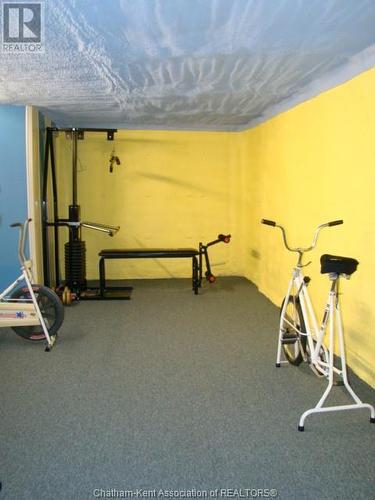 13725 Spence Line, Chatham-Kent, ON - Indoor Photo Showing Gym Room