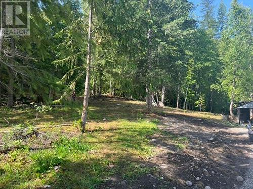 1538 Highway 6, Cherryville, BC - Outdoor With View