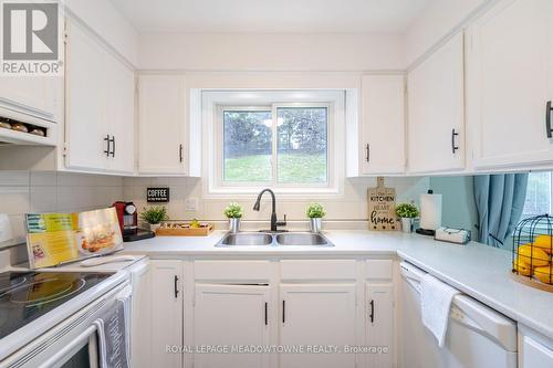 62 Terrace Drive, Hamilton, ON - Indoor Photo Showing Kitchen With Double Sink