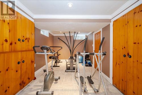62 Terrace Dr, Hamilton, ON - Indoor Photo Showing Gym Room