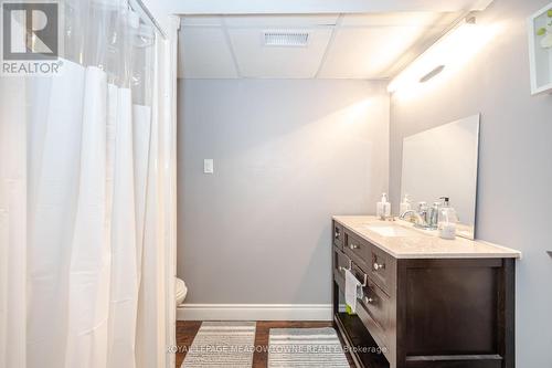 62 Terrace Dr, Hamilton, ON - Indoor Photo Showing Bathroom