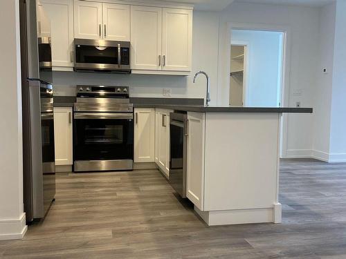 507-300B Fourth Ave, St. Catharines, ON - Indoor Photo Showing Kitchen With Stainless Steel Kitchen